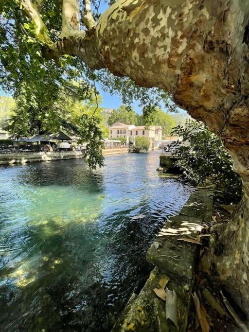 Riverside Flat Between Isle Sur La Sorgue & Gordes Apartment Fontaine-de-Vaucluse