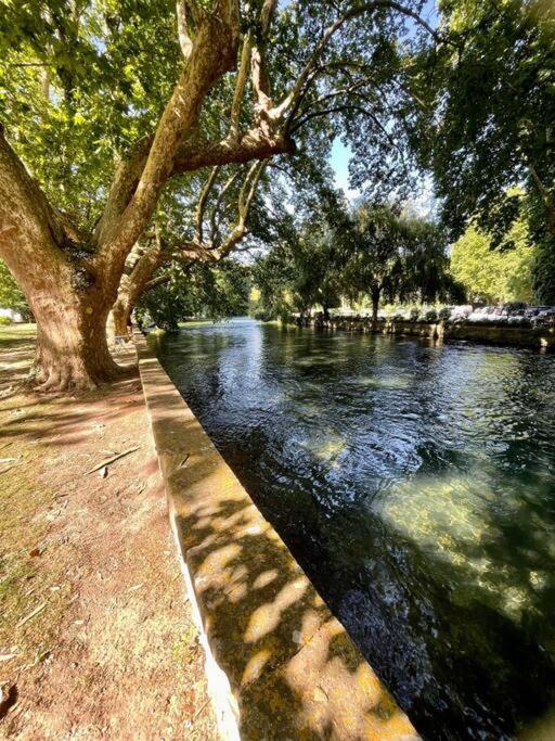 Riverside Flat Between Isle Sur La Sorgue & Gordes Fontaine-de-Vaucluse