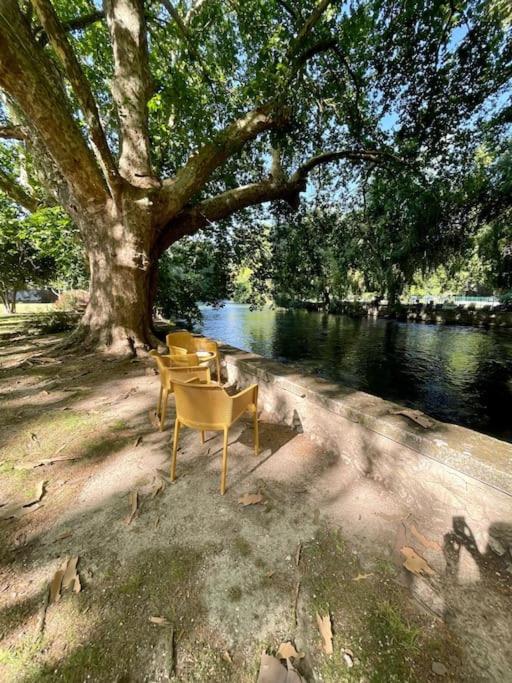 Riverside Flat Between Isle Sur La Sorgue & Gordes *
